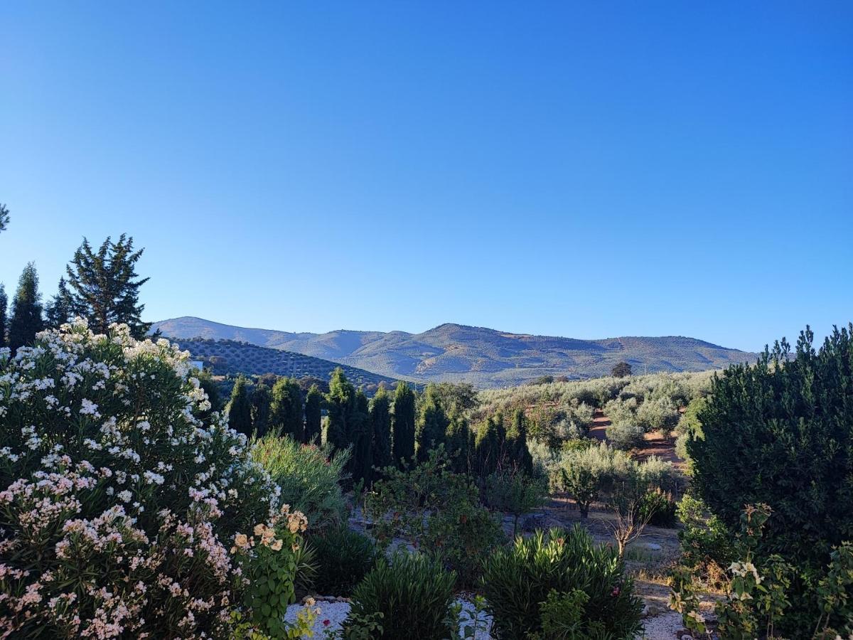 Cortijo Pennymaria Poolside Apartment Near Montefrio With Stunning Views Eksteriør billede
